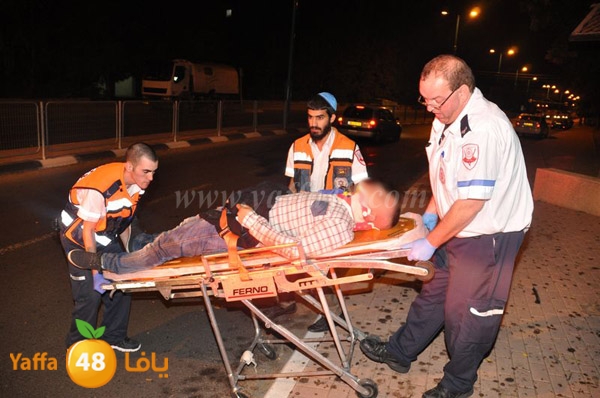 acc 7eshmona2em palmtree (5).JPG